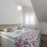 Ancora * Ρόβινι